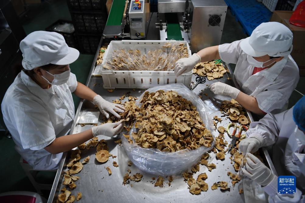 博狗网站